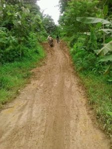 LibasIMG-20200202-WA0004