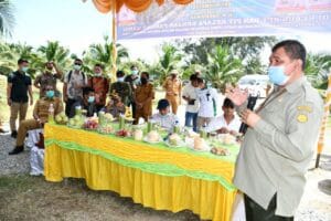IMG-20200922-WA0015