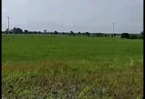 Libbas20201122_092749