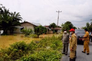 LibasIMG-20201110-WA0007