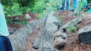 Libasimg_20210109_143624