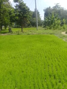 LibasIMG-20210514-WA0002