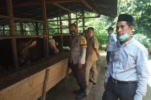 libasIMG-20210629-WA0067