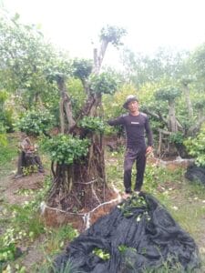 libasIMG-20210630-WA0077