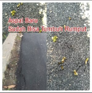 libasIMG-20210812-WA0051