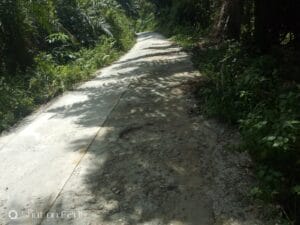 libasIMG-20210924-WA0072