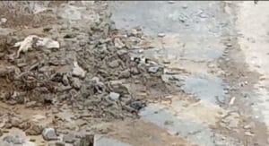 libasIMG_20211112_173540