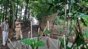 libasIMG-20211214-WA0056