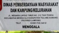 IMG-20220302-WA0151