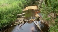 IMG-20220523-WA0003