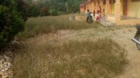 IMG-20220525-WA0017