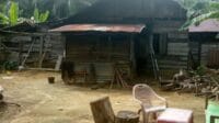 IMG-20220604-WA0002